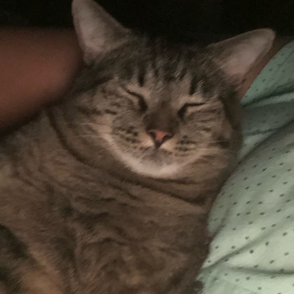 🌺 Hope you enjoy my closet ! - Picture 1 of 1